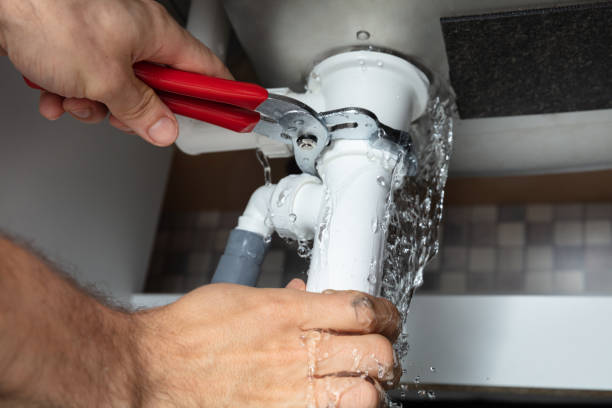 Best Flood damage cleanup  in Elmwood Park, IL