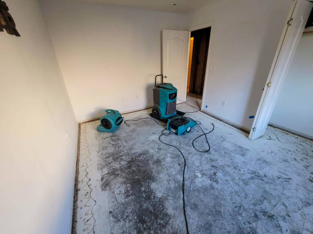 Best Water damage restoration near me  in Elmwood Park, IL