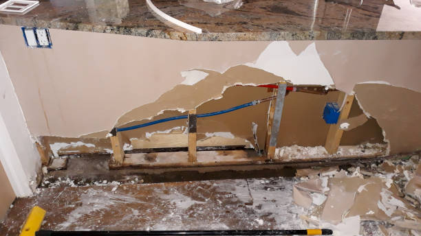 Best Flooded house restoration  in Elmwood Park, IL