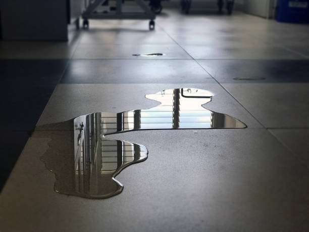 Best Carpet water damage restoration  in Elmwood Park, IL