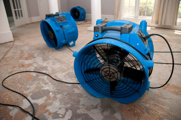 Trusted Elmwood Park, IL Water damage restoration Experts