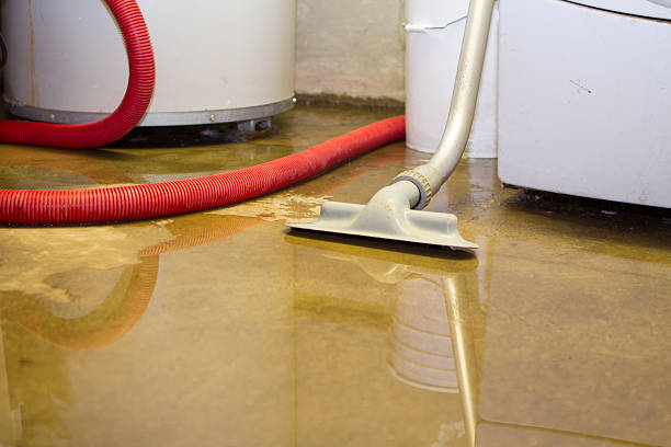 Best Water damage restoration near me  in Elmwood Park, IL