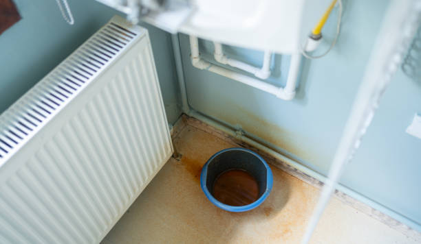 Best Water damage contractors near me  in Elmwood Park, IL
