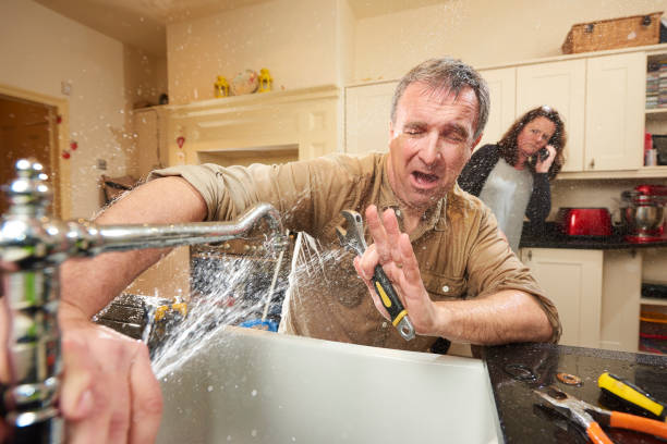 Best Water damage mitigation services  in Elmwood Park, IL